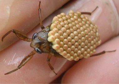 SnapCrab_NoName_2022-4-12_13-22-43_No-00