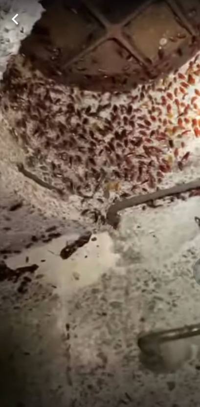 SnapCrab_NoName_2022-7-5_22-30-52_No-00