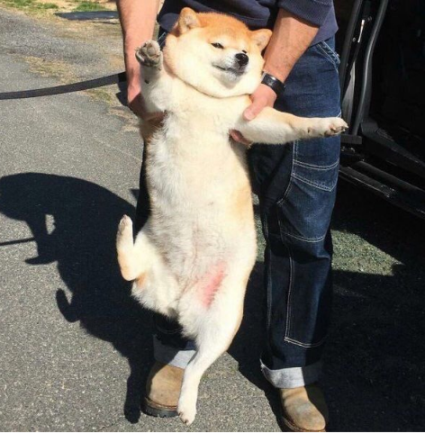 SnapCrab_NoName_2017-3-8_0-53-29_No-00