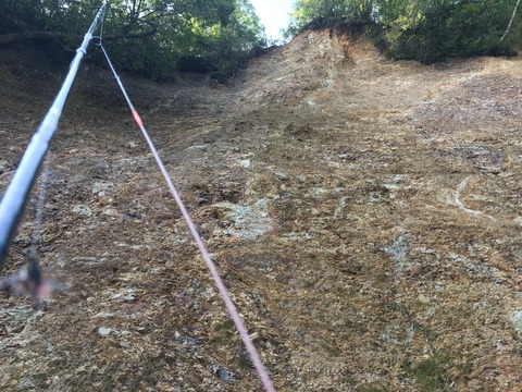 C30C125B-DD35-491C-84DD-9ED2E5B5E397