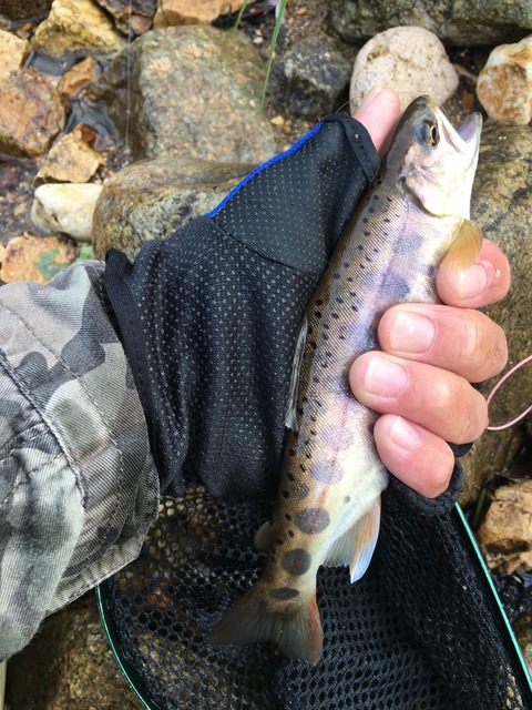 A107A0FA-F276-45FE-A928-C9CBC1307A26