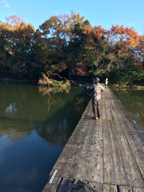 41294EAD-1958-4EE8-8353-909A2B75C23B