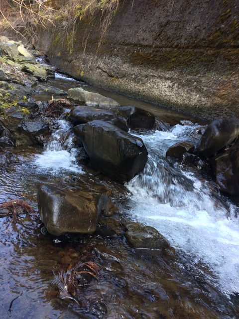 A76D08F7-D4D7-4160-8781-E9FD830E27BE