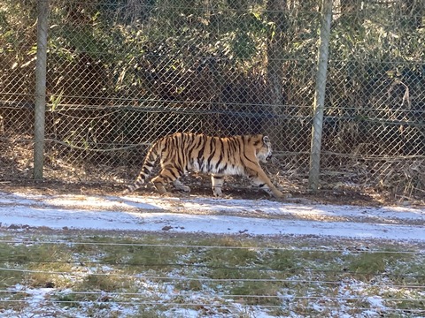 FA672061-9E67-4216-B47B-466D7594081C