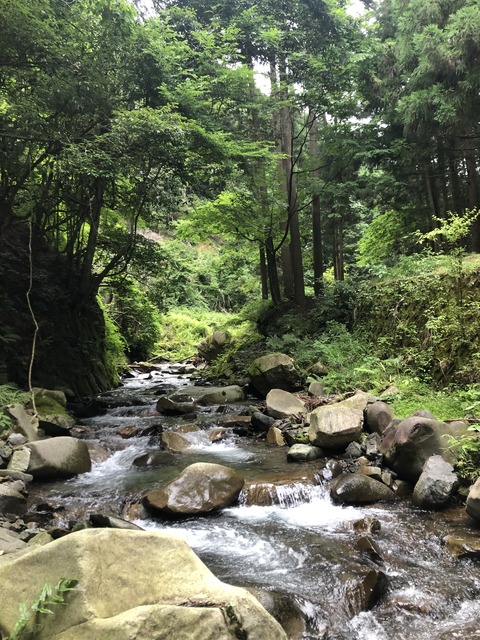 5E84341B-FE01-4E22-B863-1E53E8F76E36