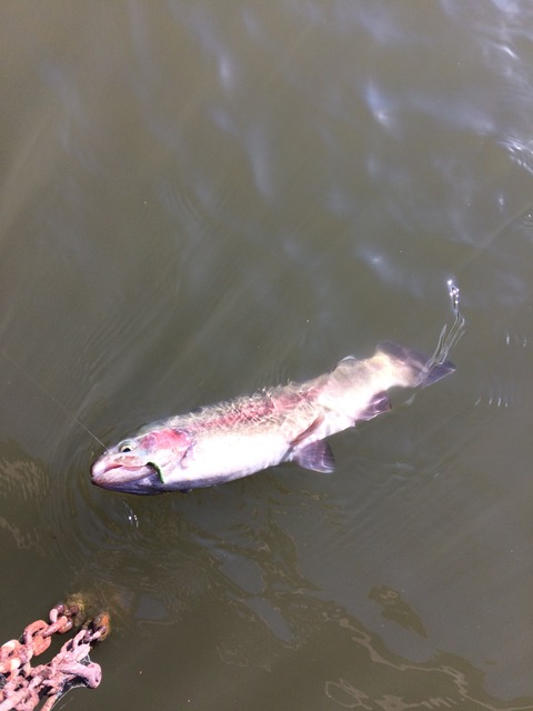 59AC2B1B-4882-4FB8-908D-1241CEADC38B