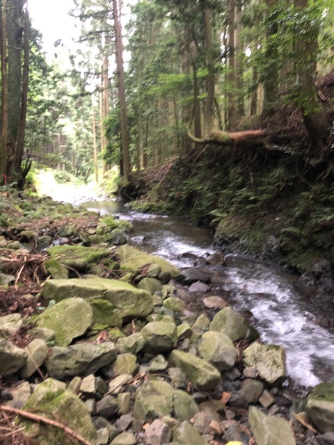 98CCF763-1CC3-4C4F-8DE3-665CE95D5258