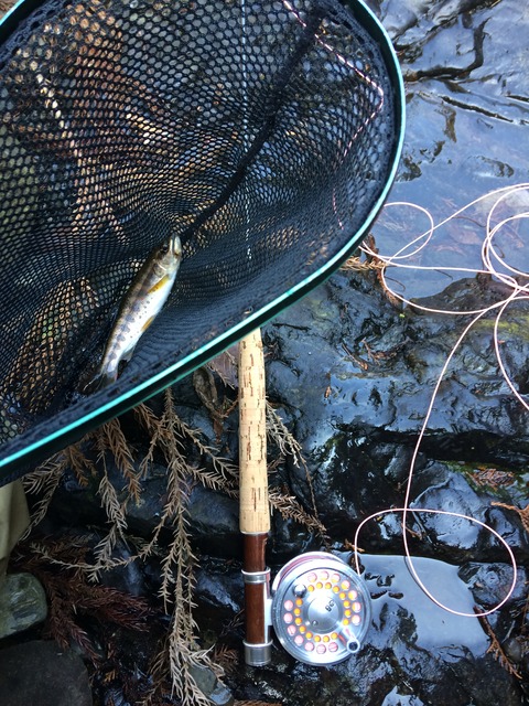 9E69955A-E1E2-4EFB-9B78-0072C2BACF6D