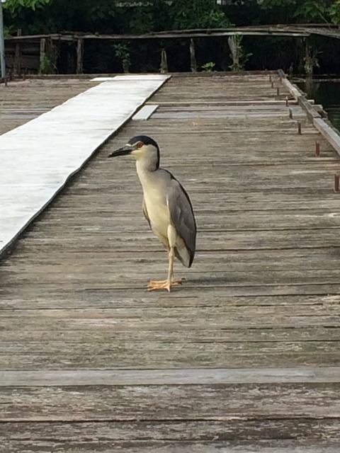 7D7EF4C9-7ECF-4370-9930-428EB218DF95