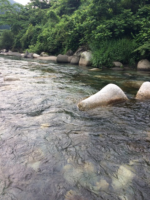 1EF7A1E0-0EE5-4188-83F6-A83A6EE719DC