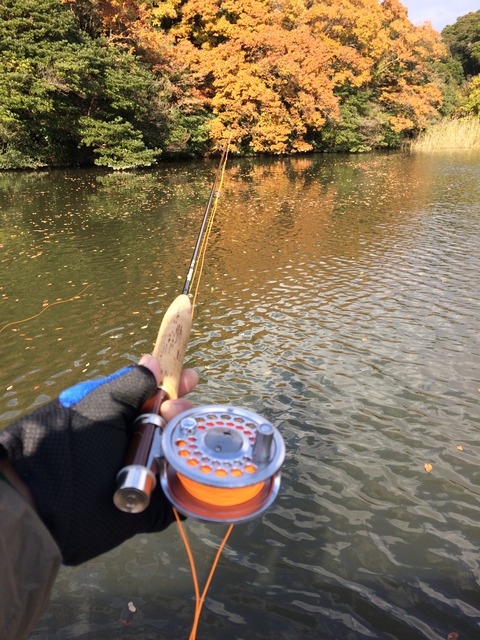 3D5FF738-CB5B-4386-9237-A0868E6C0D77