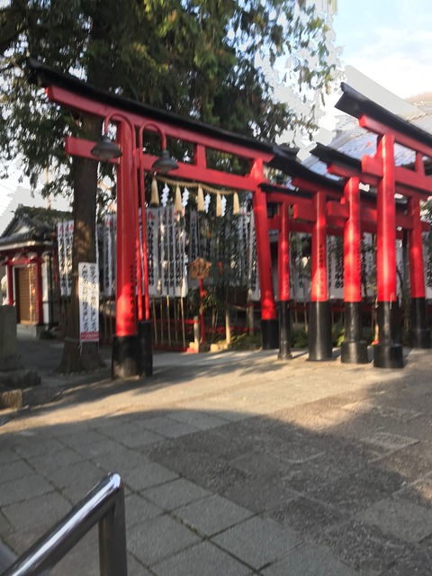 893FF1F6-465A-40AE-AAF6-FD971A63E8B2