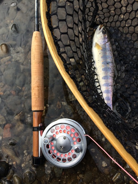 3E2E1418-CA4E-4B24-BC8D-BB9837B240DB