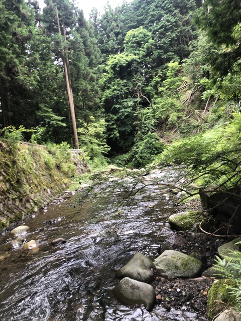 ED21C619-F408-4070-A932-6D02FAC245F5