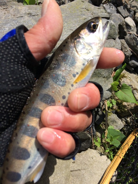 950D5AE2-3CEC-4C5B-A973-2DA1FCCDE43E