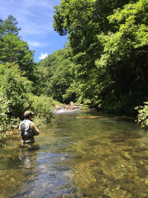 97C42C55-7A3C-4525-B8DA-1939147D52F2