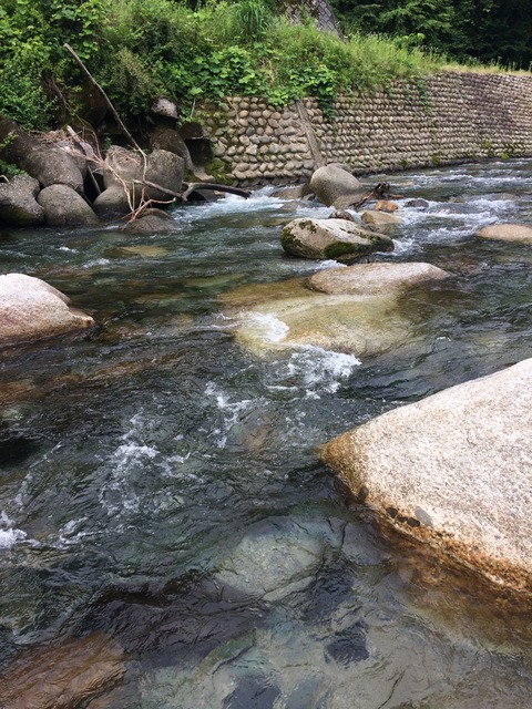 BE0D9EA3-D4EB-4FE1-84A8-917C1D08D327