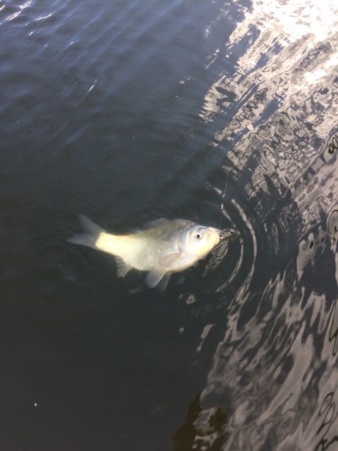 73220438-C478-4F5A-9C03-A4EDB5325C42