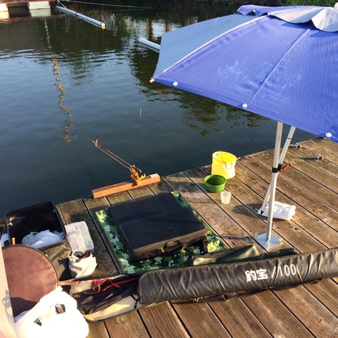 D8EA6127-D8A4-4447-A127-76AE9E5515D8