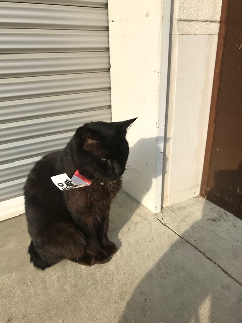 6C862757-EC31-44D4-A255-578FC35DF9F3