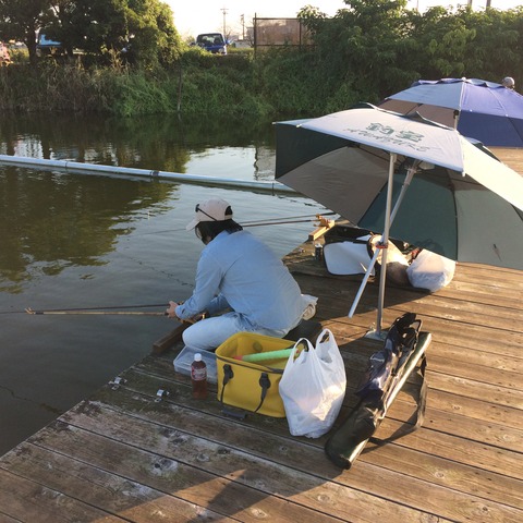 7A26FD81-B111-4199-BE13-F025CC5CDBDA