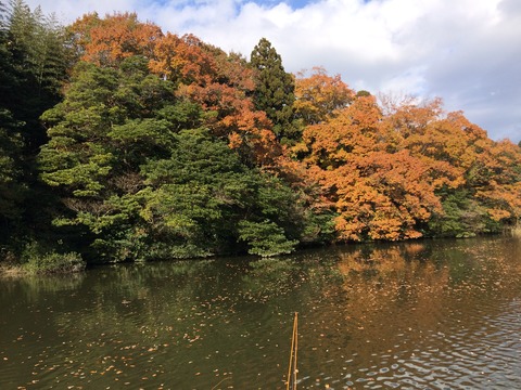 C8ED332D-1F73-46A9-8082-295E3CAB4EA6