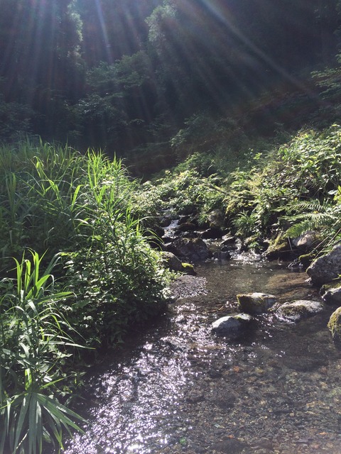 9D5ED57F-9754-4F78-A5D4-BD0DCDEE203A