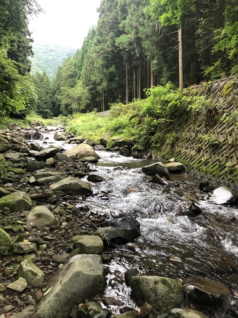 5C212262-B548-4095-8D33-A9BA29E683A1