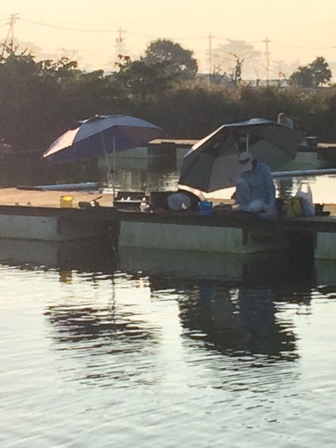 A9558984-EAF0-4F3F-993A-B597916D5C63