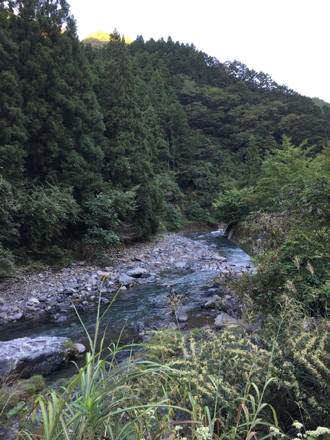 59029A60-881F-4B39-81E9-97644C513A6D