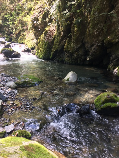 707067FD-DF86-4C45-AD1B-87344897794C