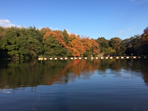 E54455DB-4C05-41DA-892D-128353F188C8