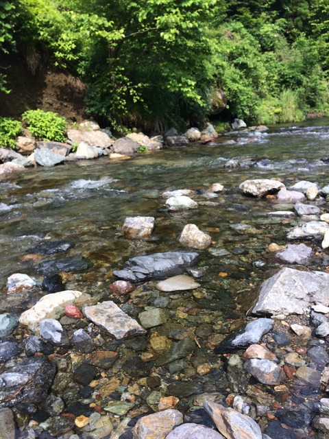 11CB10FE-EB62-4EA9-9CE5-96F3C928DB00