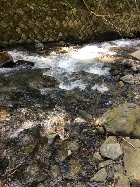 FB8F63C8-A829-4DA2-B9CA-406E05C2C853