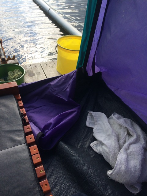 7B24BCDD-28DF-4DD9-BA92-E808CED454F3