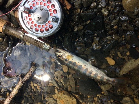 5C3FE20D-3DB2-4849-B5CD-111D62210354