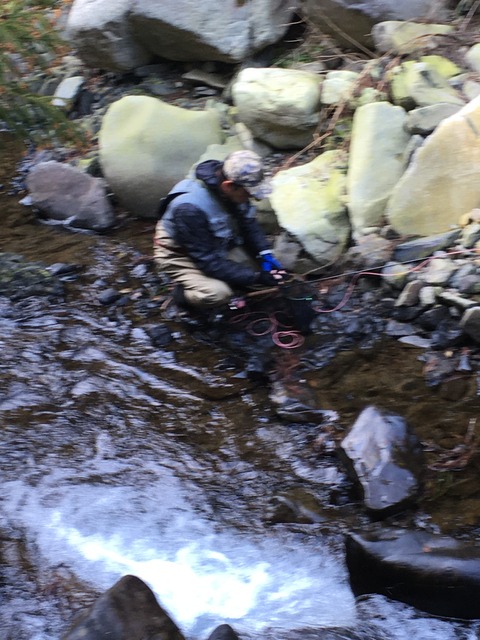 79A1D06C-2236-43EE-ADAE-F71C69E539A0