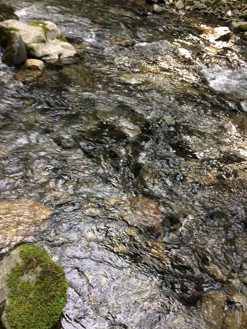 900E9EC6-3E90-4845-A523-B55EDDE4C654