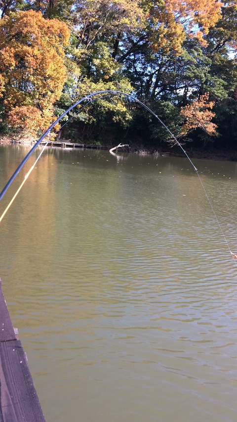 56830906-5056-403F-A8C3-6D7846C6DD89