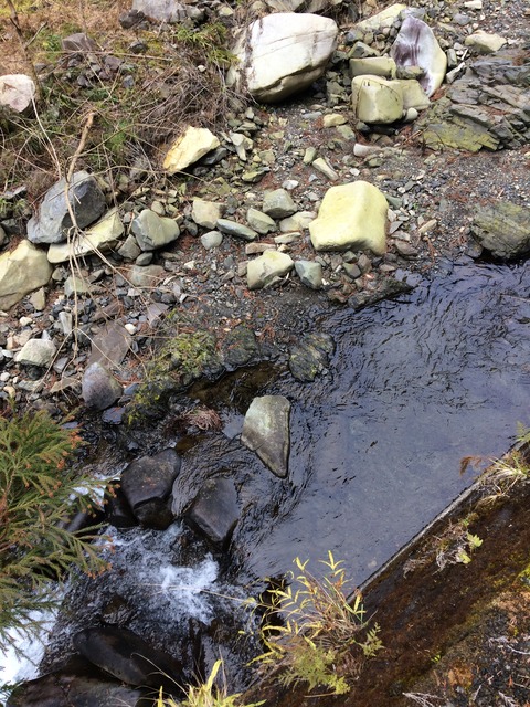 38EDB9E6-F0CE-4418-A5C5-C02C8B84AEE9