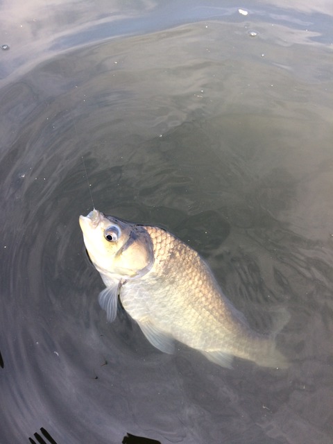 03842D7E-8DB1-42A4-9B64-E953AE58DB49