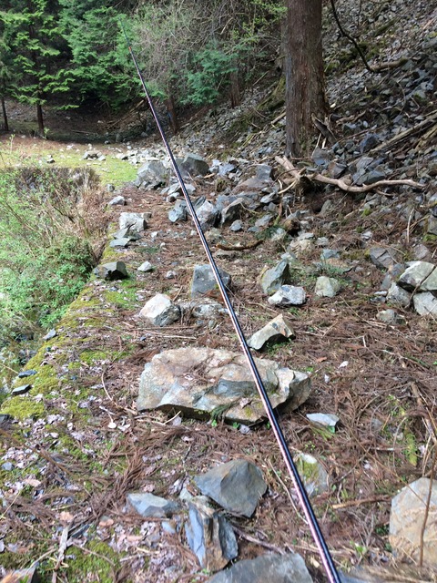 04F03DA3-5E79-4499-9033-ED3CEC096AB7