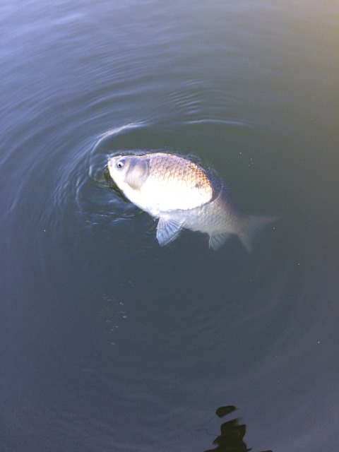 27DFA695-EA1C-471C-969F-68C4F412CEF3