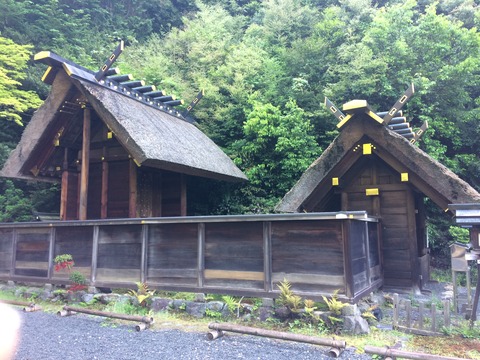 C8ED0C0E-4C96-4508-8DC3-F6ED74E02B1F