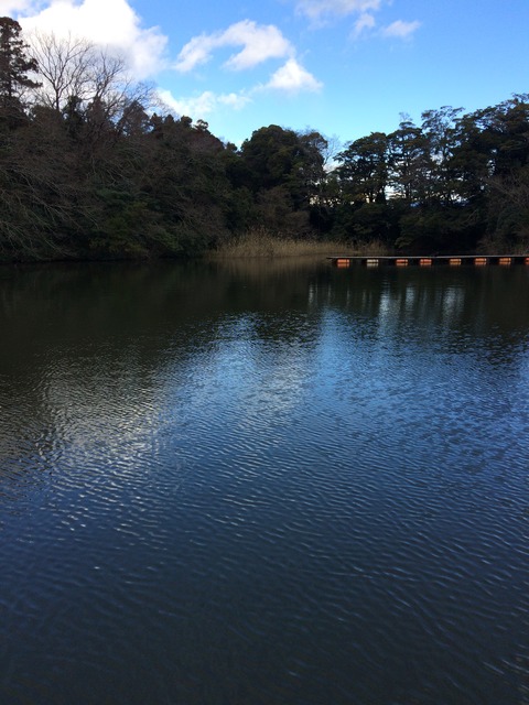 945631C0-0CF9-41B5-AFF3-75DD4349B561