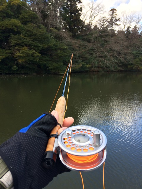 A33022FB-B674-4687-BCC1-E48904E0D1B5