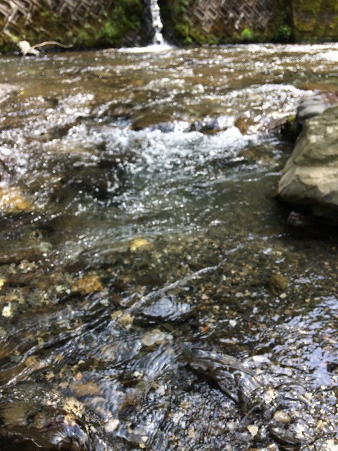 0A998495-C264-4C9C-AD7D-6C6B012F5019