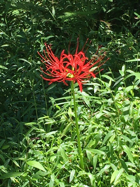 E519DF32-5F97-493C-9DE1-25468BCA4059