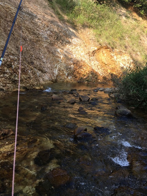 78DD4198-38E8-4A8C-ADFF-7EA25D1C4D19