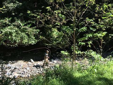 CE1C1977-824C-4614-954B-FFB654AA0E3E